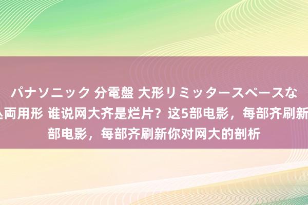 パナソニック 分電盤 大形リミッタースペースなし 露出・半埋込両用形 谁说网大齐是烂片？这5部电影，每部齐刷新你对网大的剖析