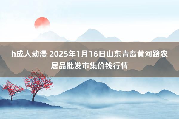 h成人动漫 2025年1月16日山东青岛黄河路农居品批发市集价钱行情