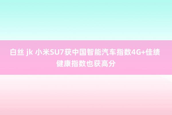 白丝 jk 小米SU7获中国智能汽车指数4G+佳绩 健康指数也获高分